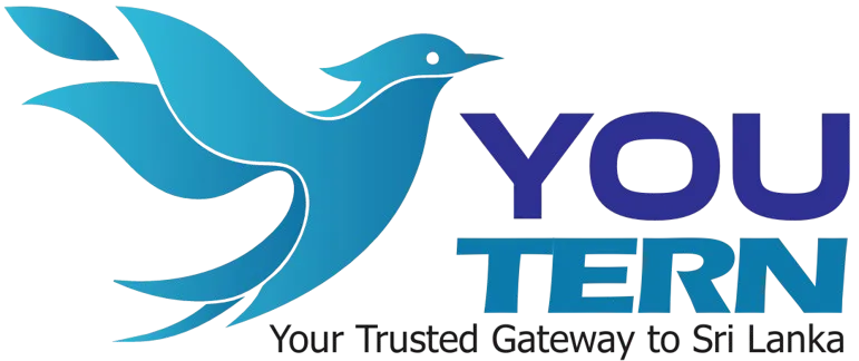 You Tern Travels logo featuring a blue bird symbol and modern typography